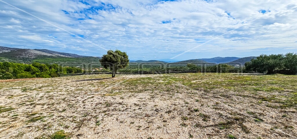 Image 6197469 - 13