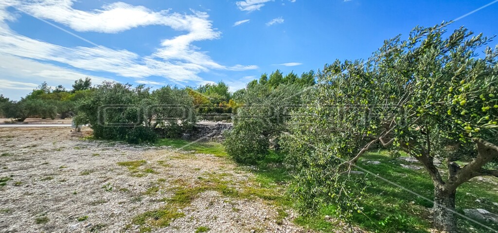 Image 6197469 - 11