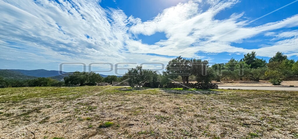 Image 6197469 - 2