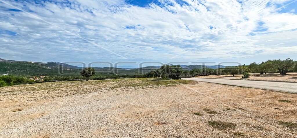 Image 6197469 - 12