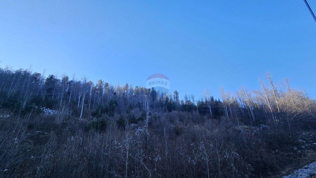 Image 6197514 - 4