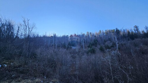 Thumbnail 6197514 - 3
