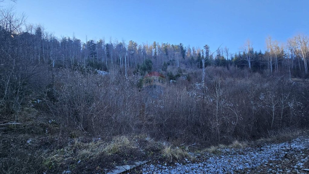 Image 6197514 - 7