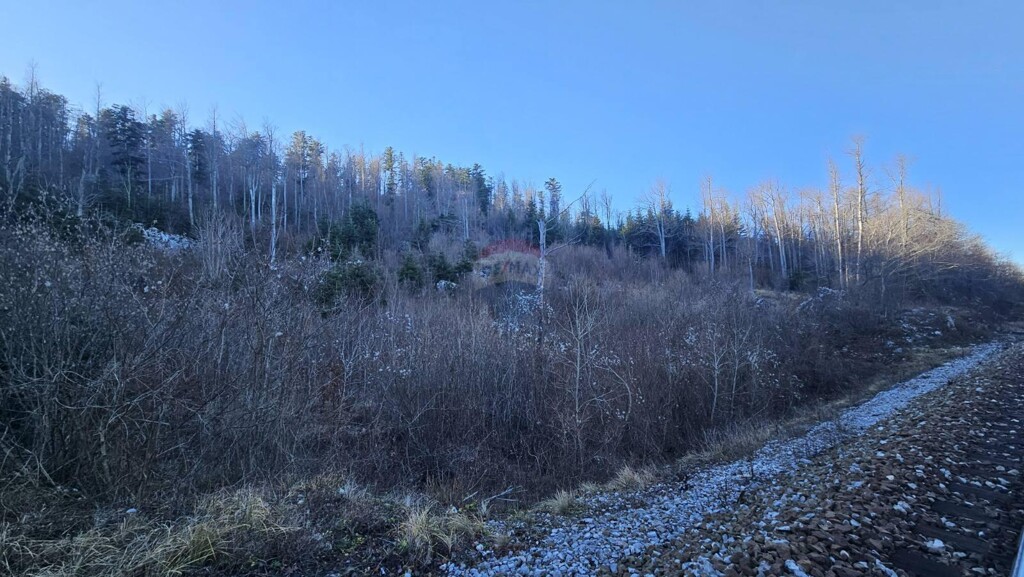 Image 6197514 - 6