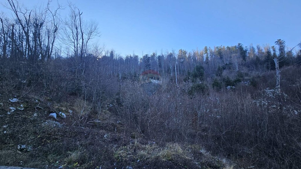 Image 6197514 - 5