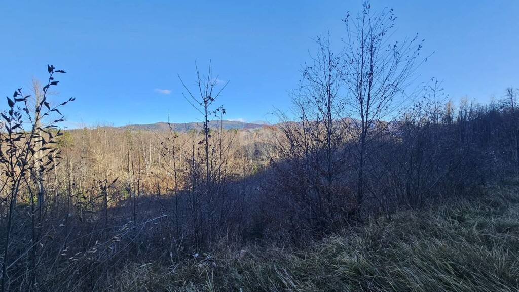 Image 6197514 - 10