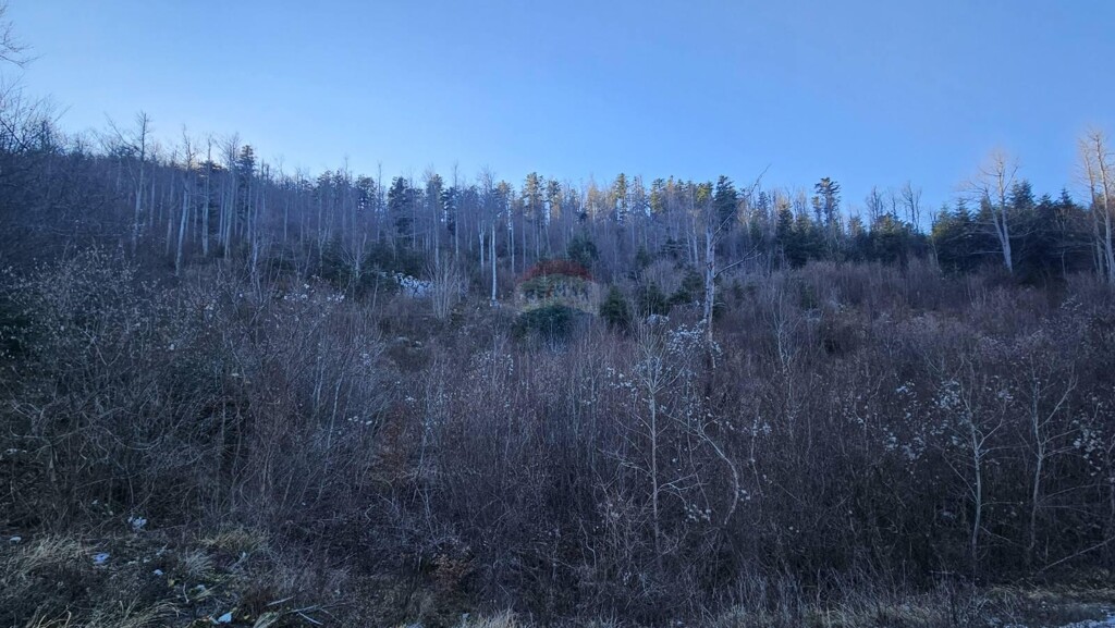 Image 6197514 - 2