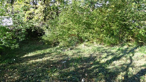 Thumbnail 6197520 - 1