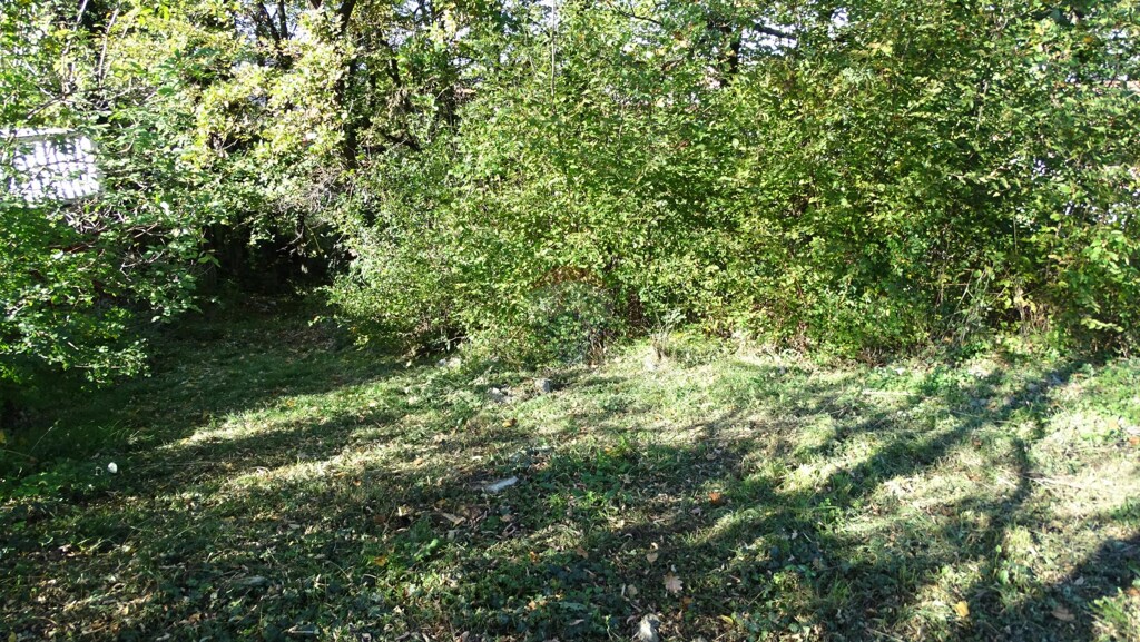 Image 6197520 - 1