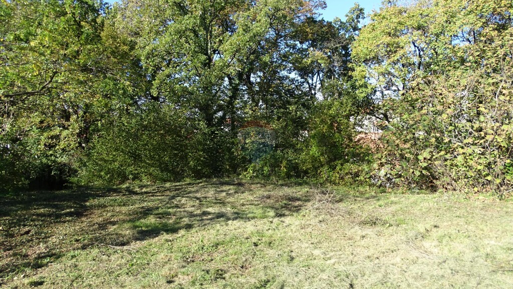 Image 6197520 - 2