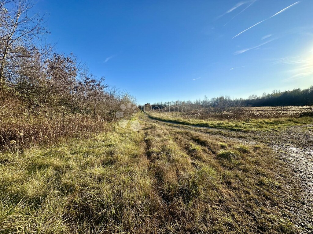 Image 6197764 - 2
