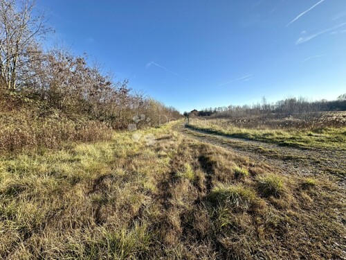 Thumbnail 6197764 - 3