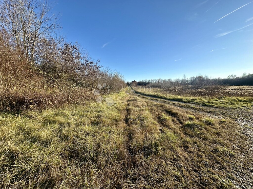 Image 6197764 - 1