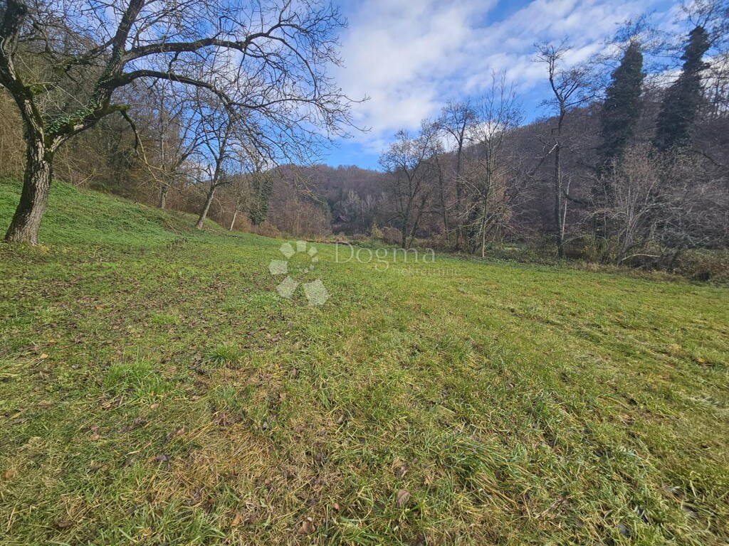 Image 6197782 - 9