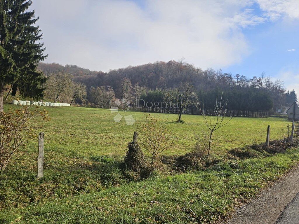 Image 6197782 - 8