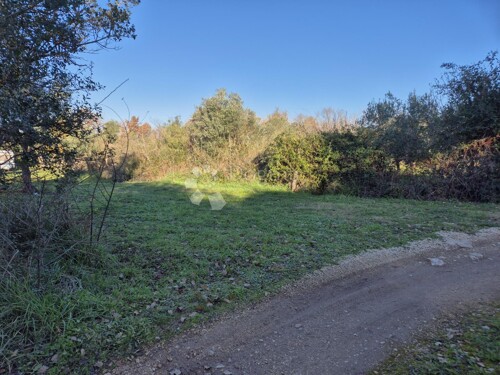 Thumbnail 6197786 - 5
