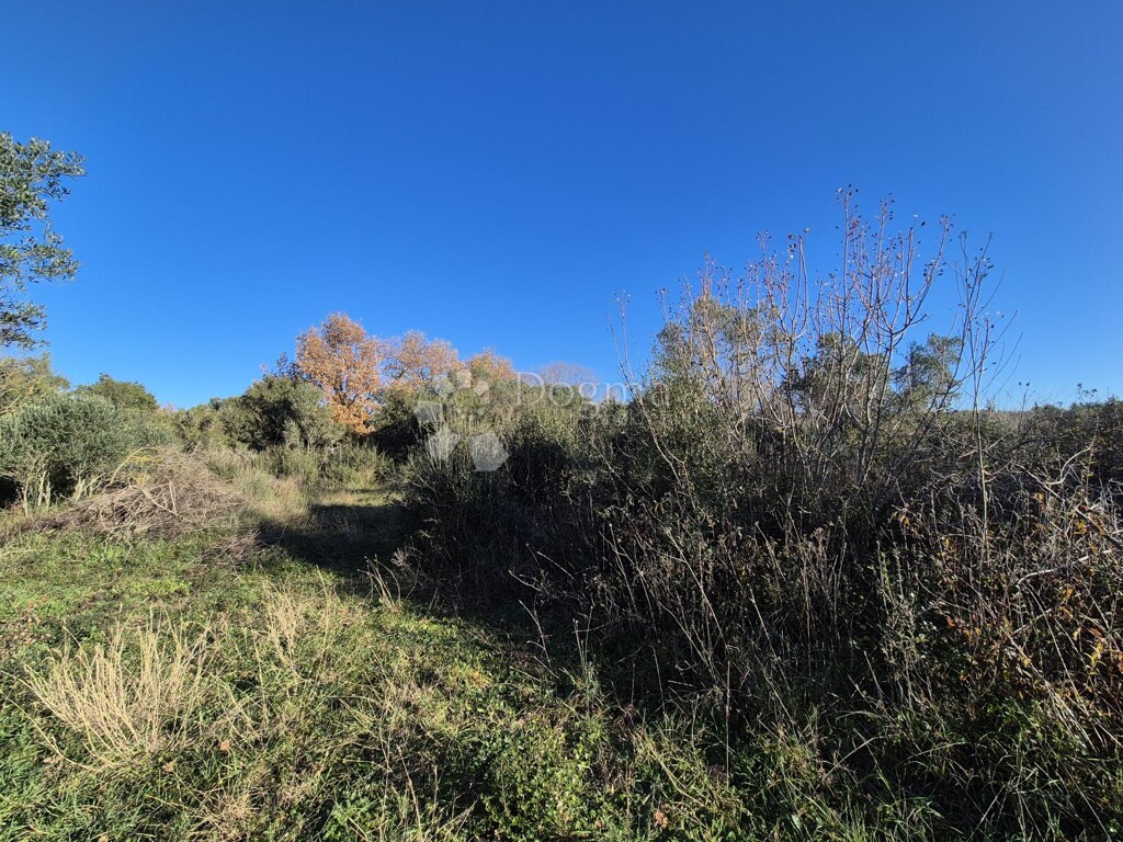 Image 6197786 - 4