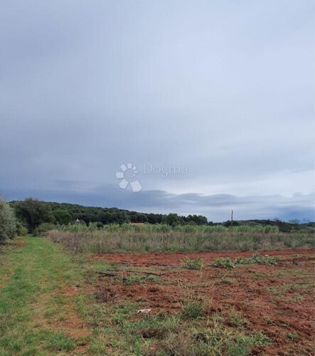 Thumbnail 6197787 - 3