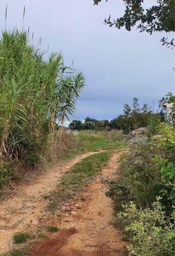 Thumbnail 6197787 - 5