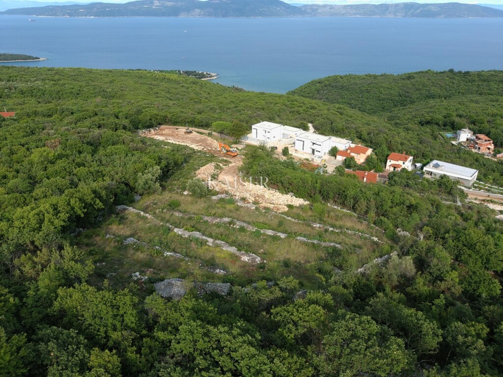 Image 6197809 - 3