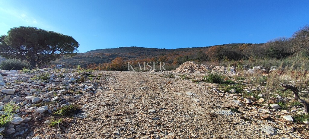 Image 6197809 - 5