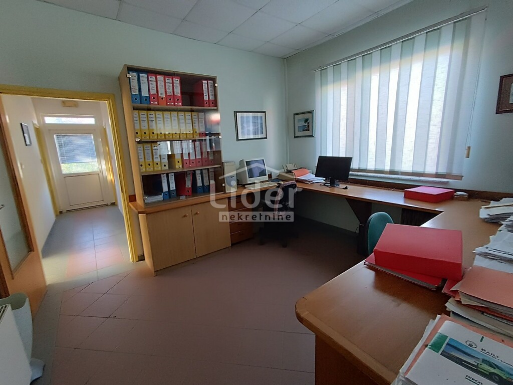 Image 6198298 - 2