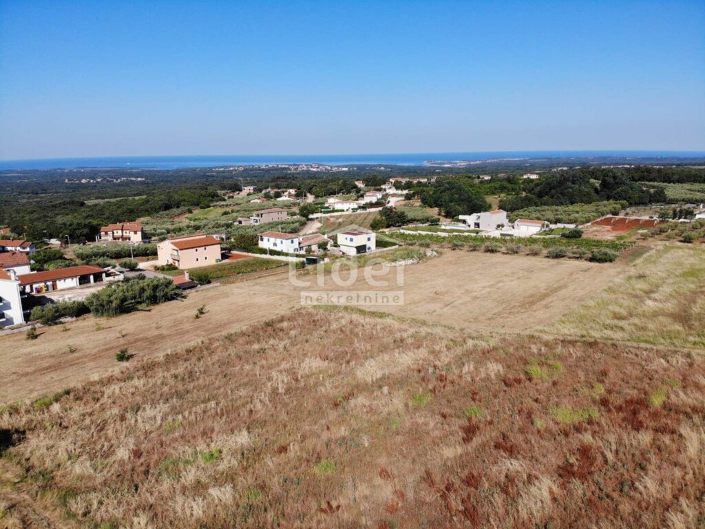 Image 6198302 - 1