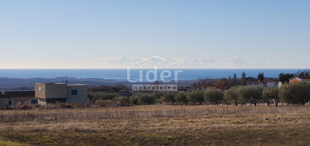 Image 6198302 - 3