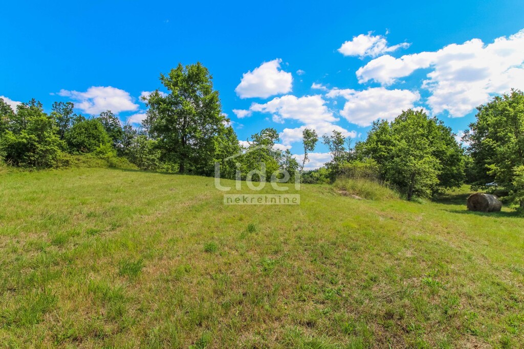 Image 6198304 - 1