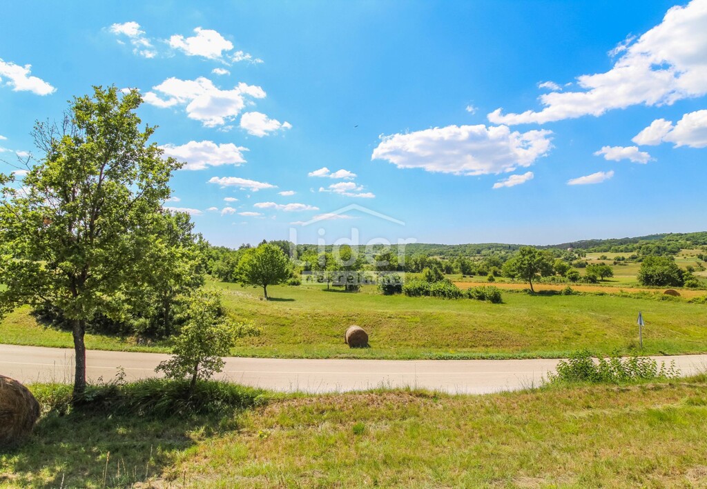 Image 6198304 - 3