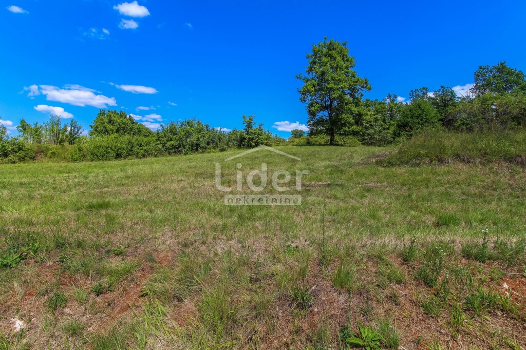 Image 6198304 - 4