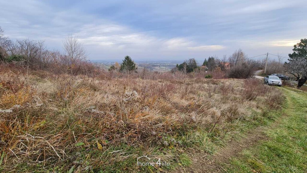 Image 6198350 - 3