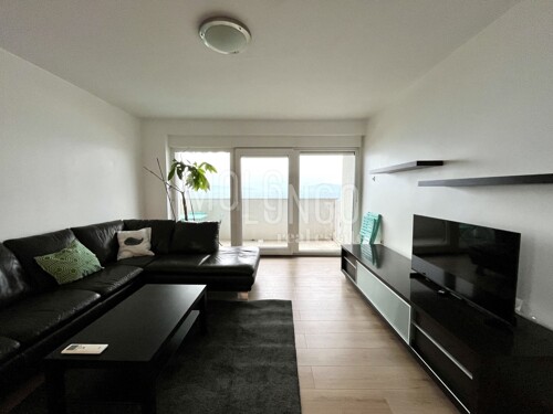 Thumbnail 6198356 - 2