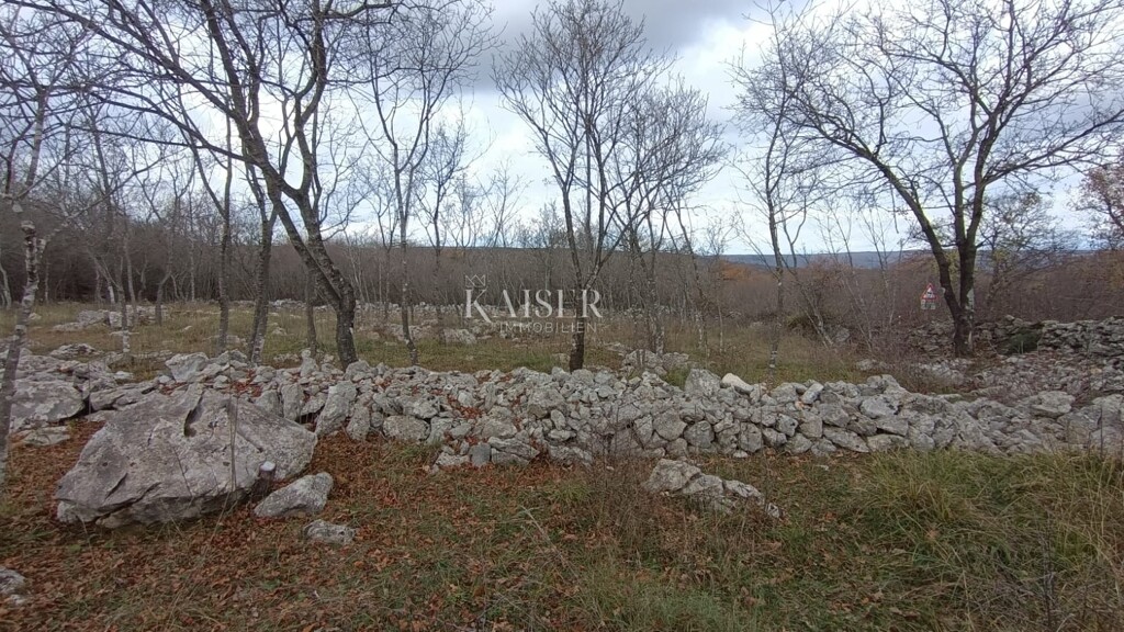 Image 6198371 - 3