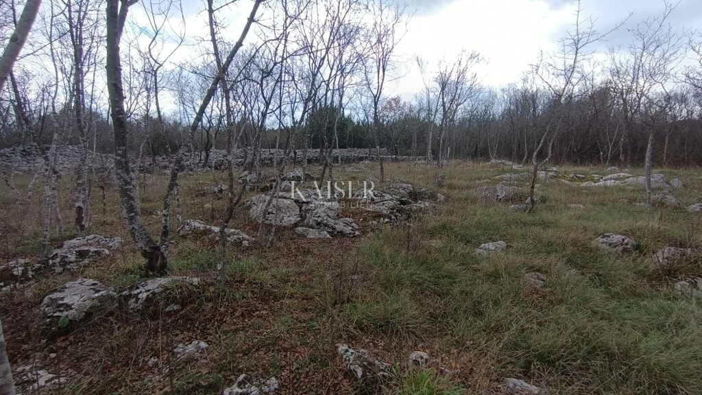 Image 6198371 - 4