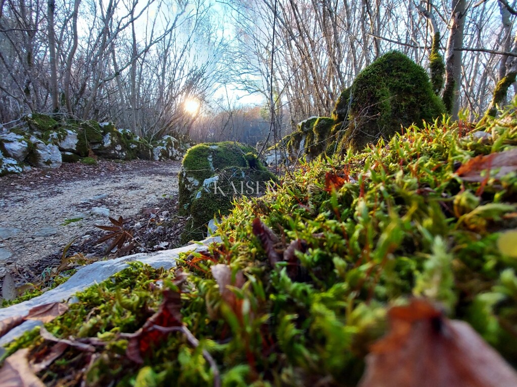 Image 6198373 - 1