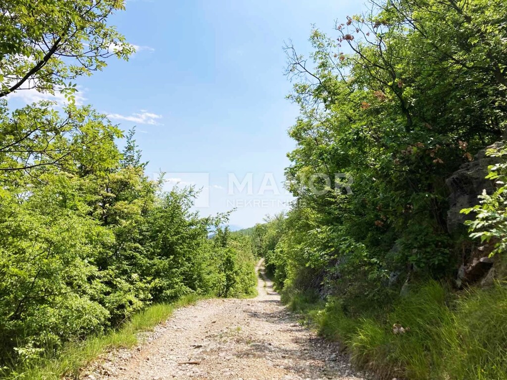 Image 6198390 - 5