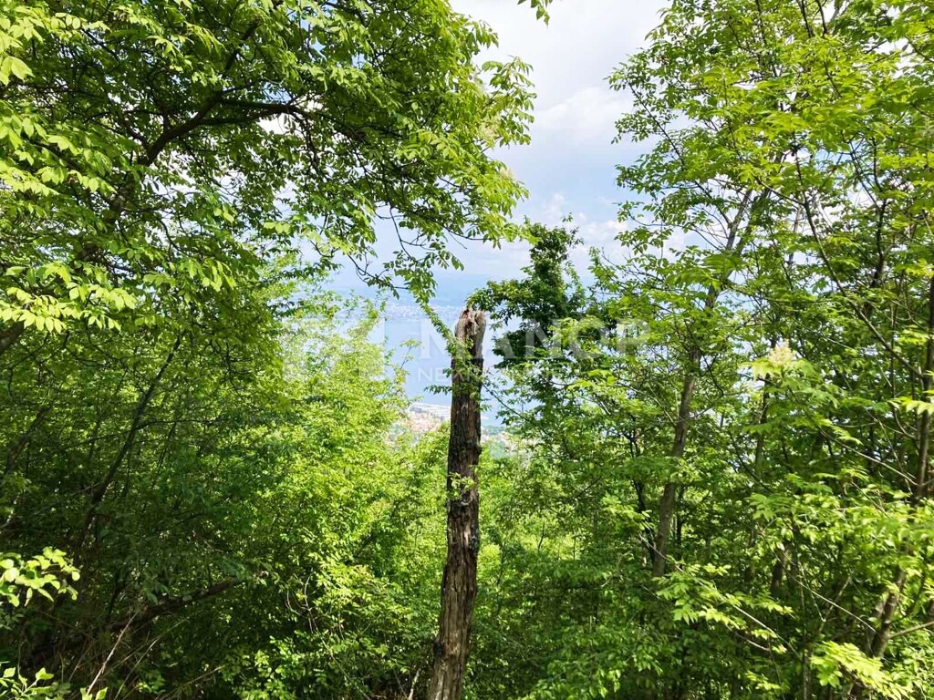 Image 6198390 - 3