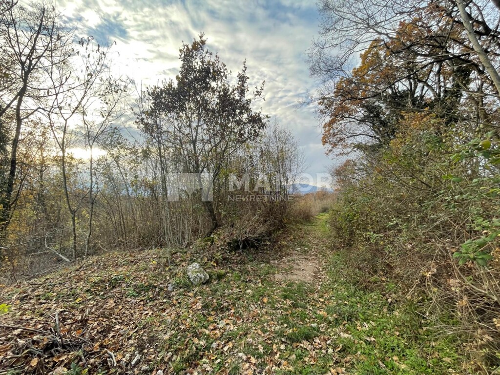 Image 6198398 - 11