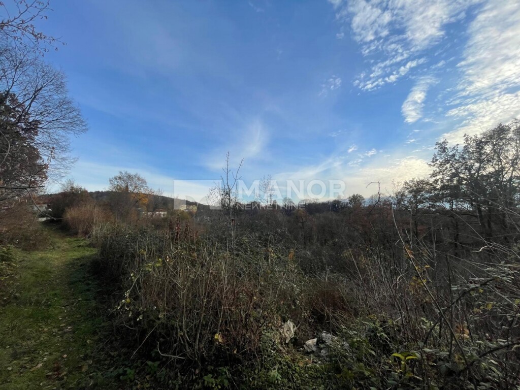 Image 6198398 - 1