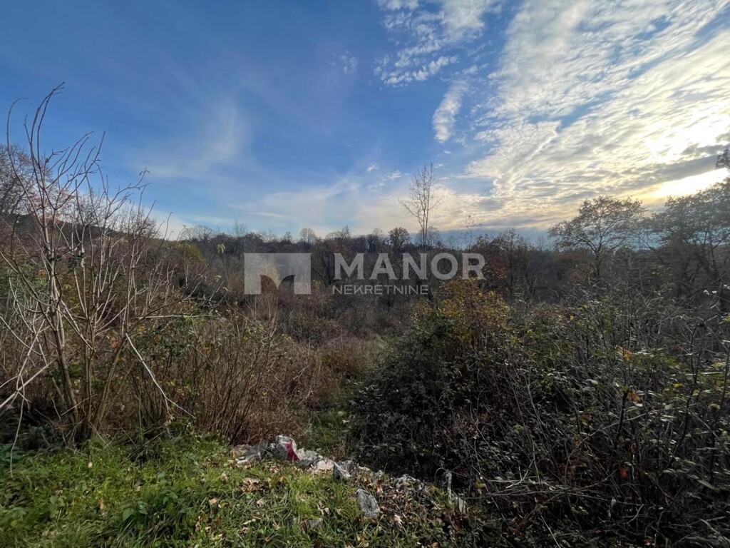 Image 6198406 - 5
