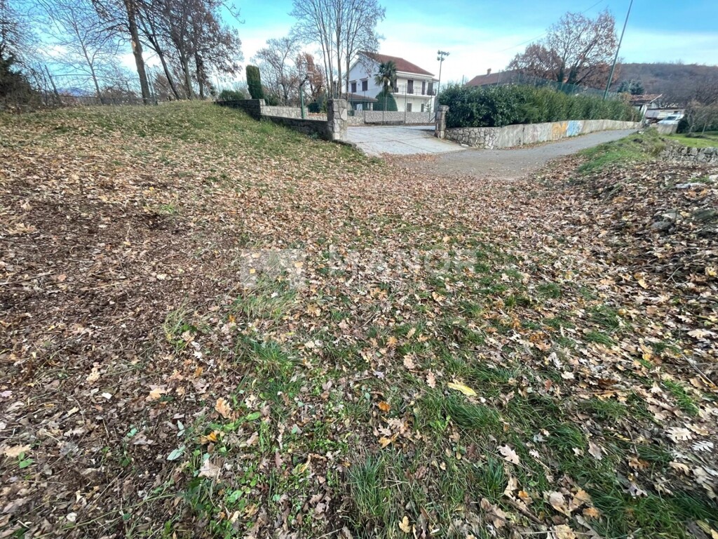 Image 6198406 - 12