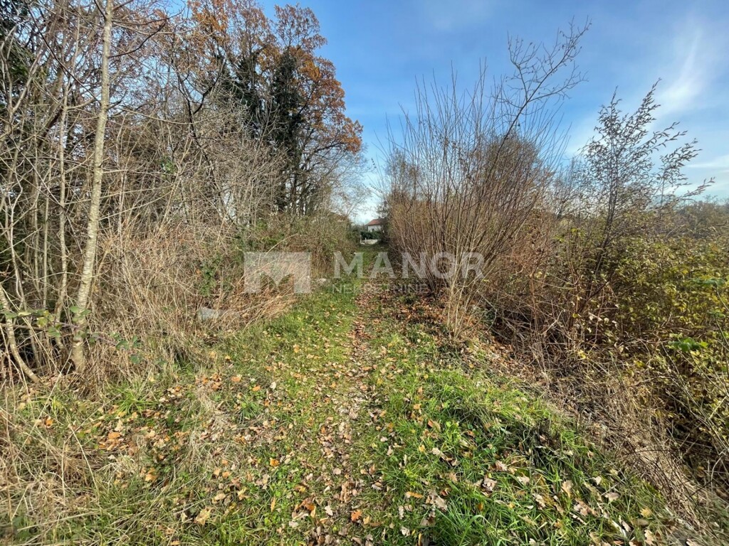 Image 6198406 - 9