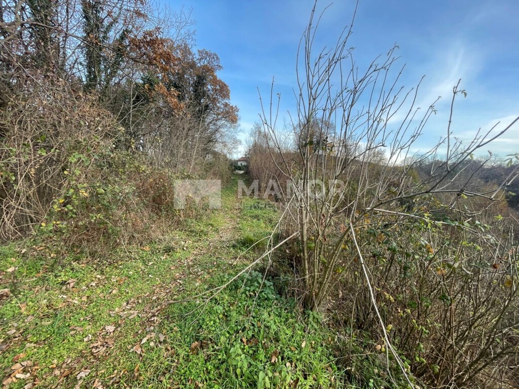 Image 6198406 - 6