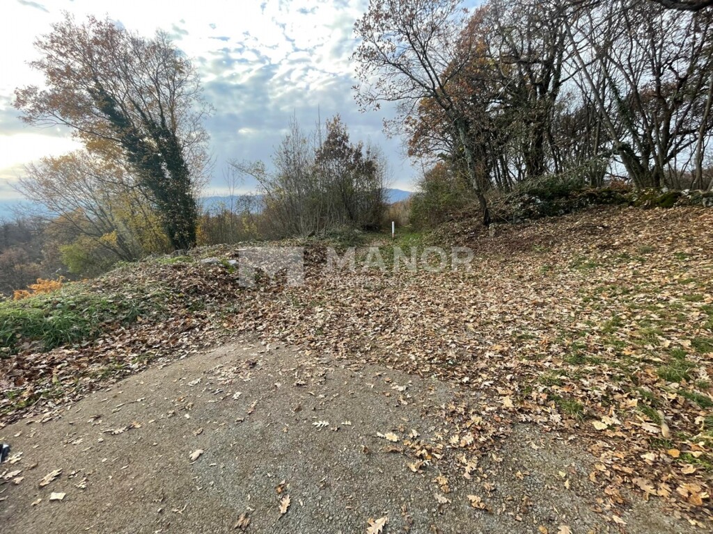 Image 6198406 - 13