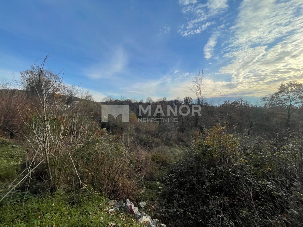 Image 6198406 - 2