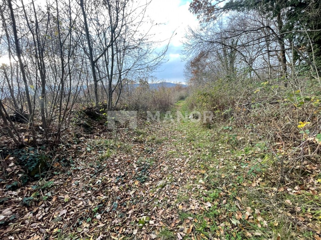 Image 6198406 - 8