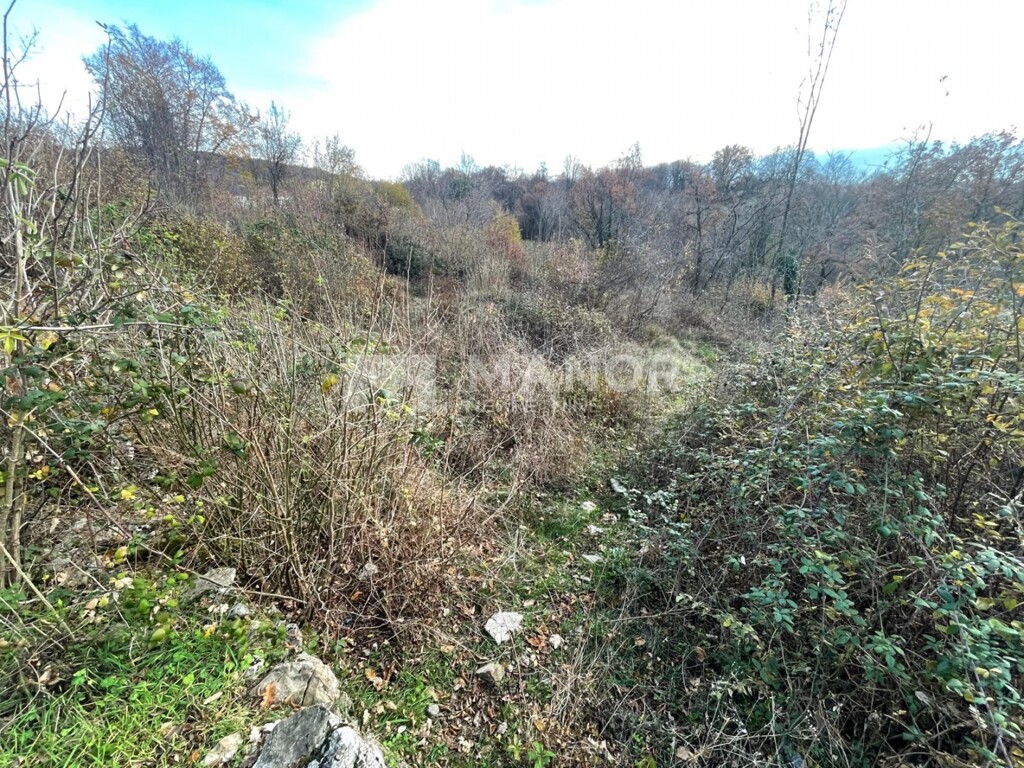 Image 6198406 - 7