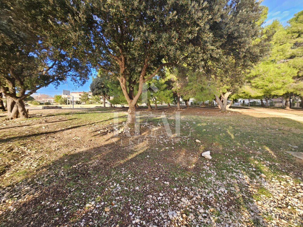 Image 6198408 - 11