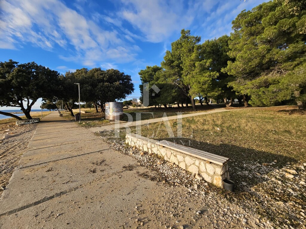 Image 6198408 - 10